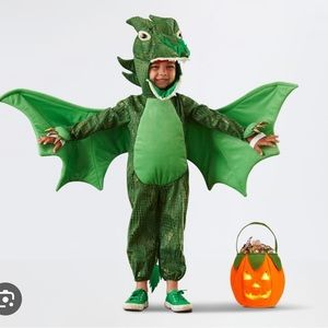 Potterybarn Dragon Costume